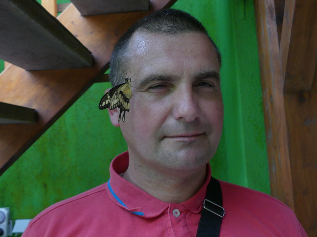 les papillons aime la transpiration