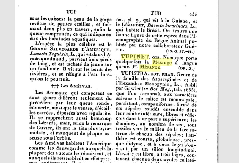 1) Dictionnaire classique d’histoire naturelle, Volume 16

De Bory de Saint-Vincent (Jean Baptiste Geneviève Marcellin)