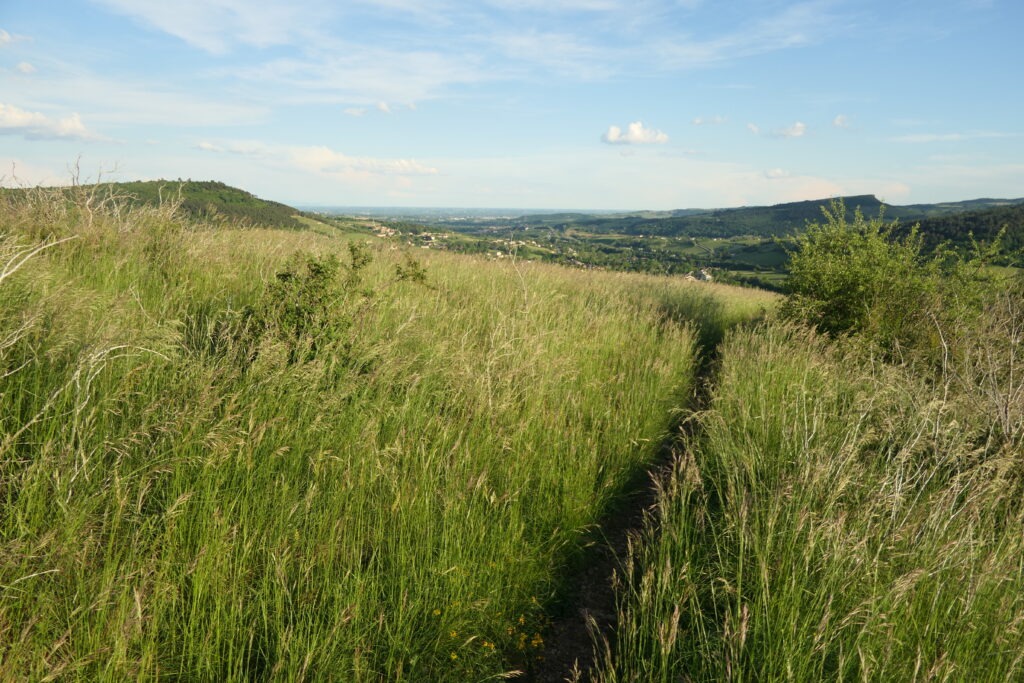 Le Mont de la Fa à la Roche vineuse (71)