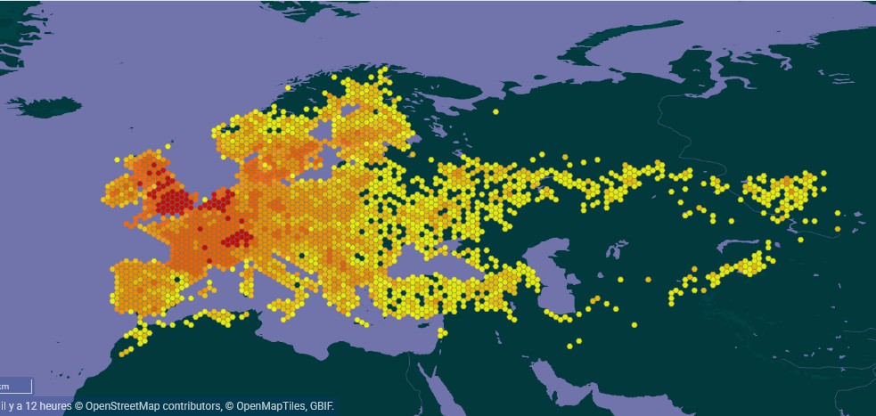 Carte GBIF de la présence du Fadet commun dans le monde