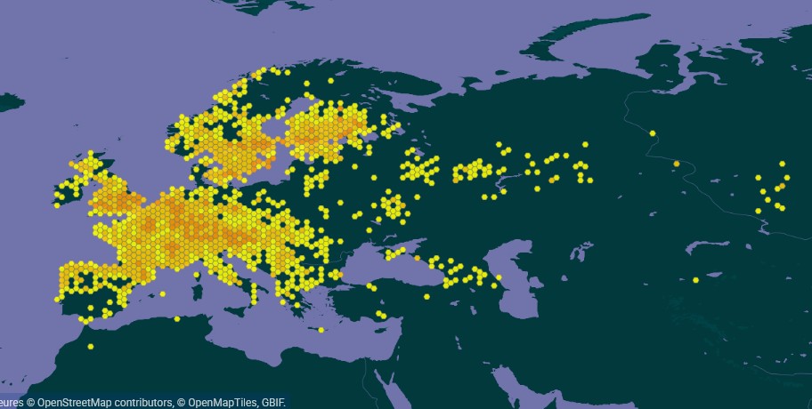 Carte GBIF de la présence de la pyrale pourpre dans le monde