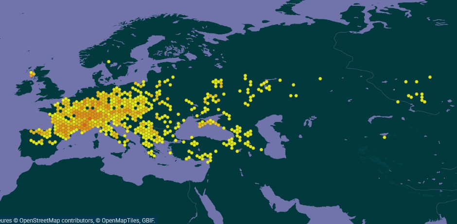 Carte GBIF de la présence de la Zygène du lotier dans le monde 
